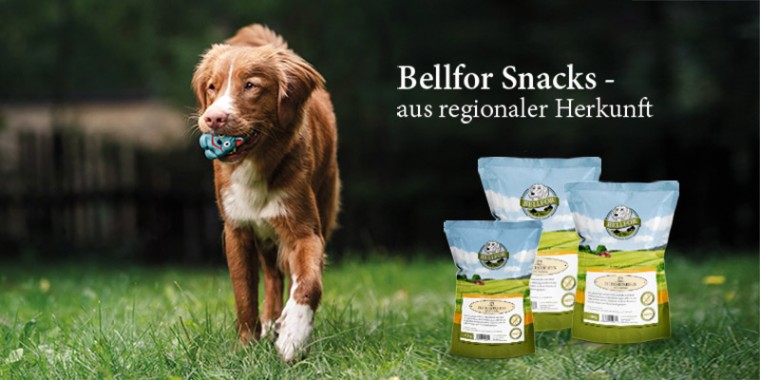 bellfor_teaser_snacks-760x380